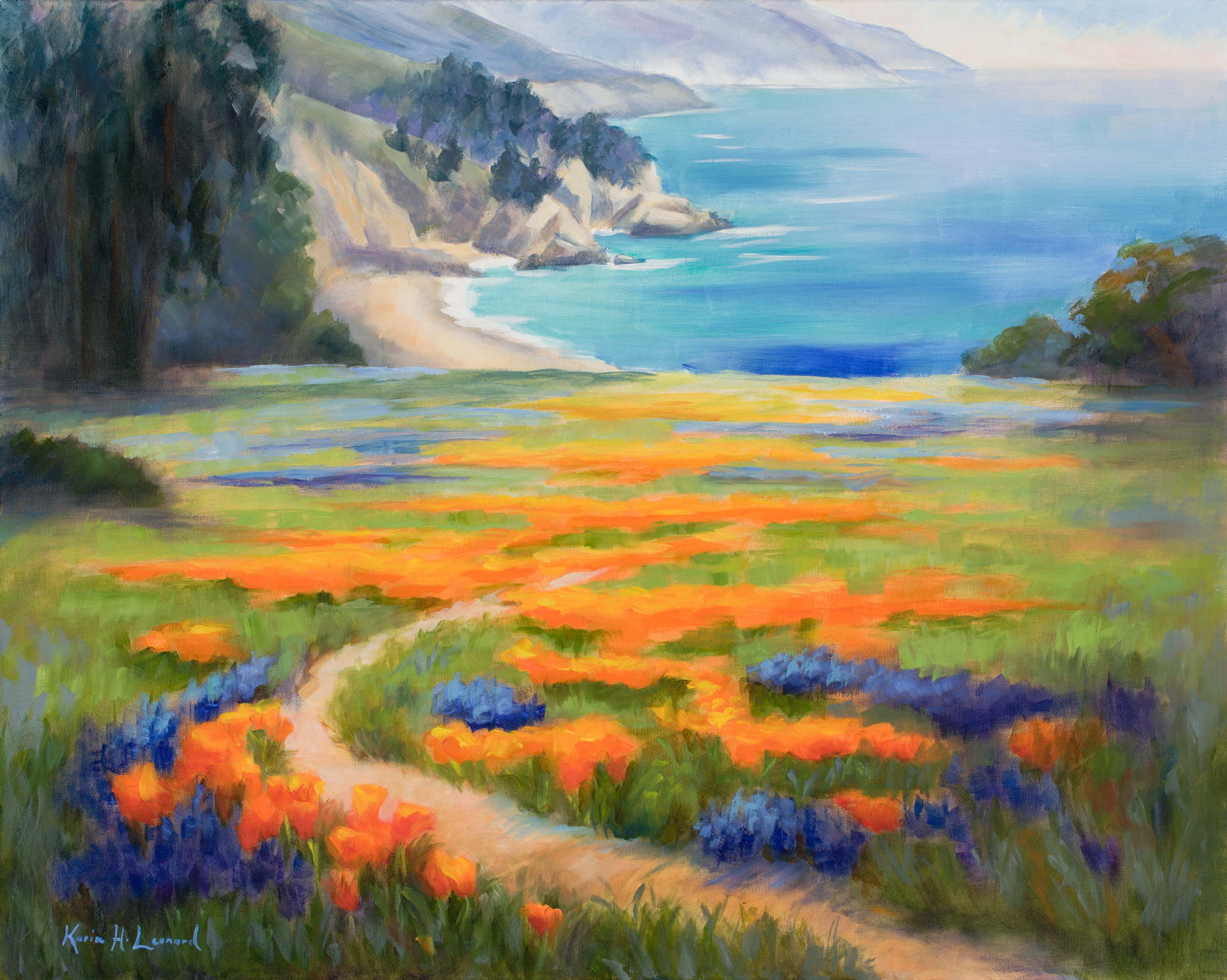 California Spring Big Sur by Karin Leonard